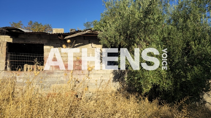 Ο στάβλος στον οποίο η 62χρονη είχε θάψει τη μητέρα της