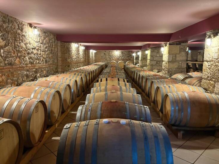 Το κελάρι της οικογένειας Κανιάρη