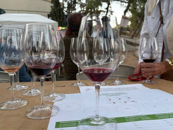 Το σεμινάριο οινογνωσίας στο Αγροφεστιβάλ «Μεγάρων Γη»