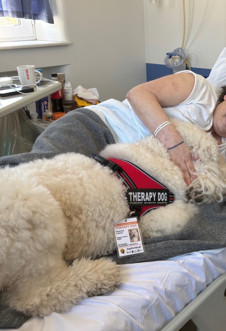 Σκύλος θεραπείας του Dogtherapy μαζί με ασθενή 