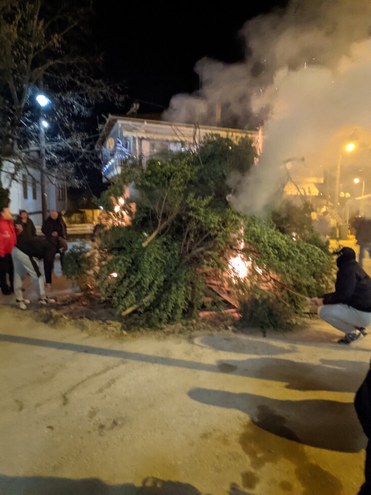 κεδαρα_στη_φυτεια_ημαθιας