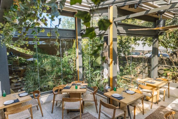 Λεύκες, Γαλάτσι