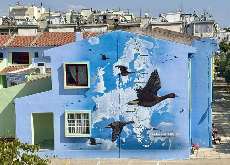 Αλεξανδρούπολη: Οι Νανόχηνες «προσγειώθηκαν» στα σχολεία της πόλης