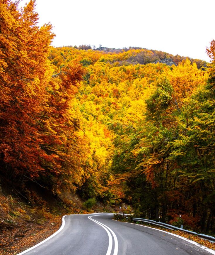  Βάλια Κάλντα