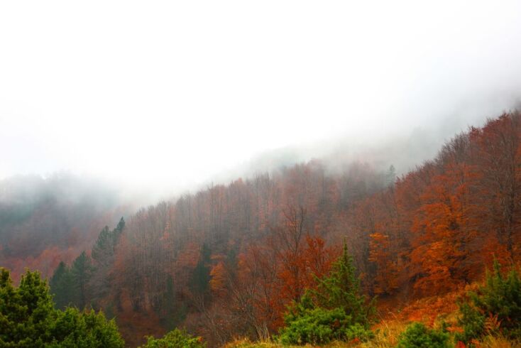  Βάλια Κάλντα
