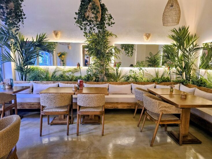 Διονυσάκης, Δάφνη