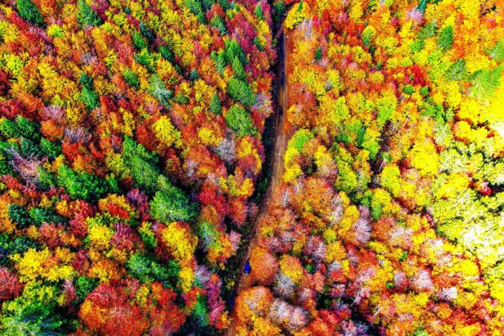  Βάλια Κάλντα