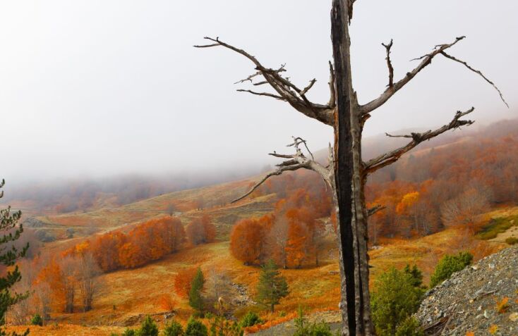  Βάλια Κάλντα