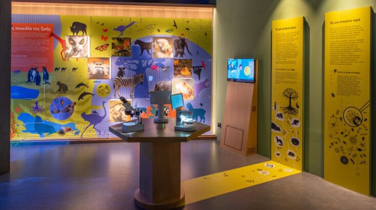 Μέσα από ολογραμματικές και πανοραμικές προβολές, φυσικά εκθέματα και πολυαισθητηριακές εμπειρίες, αναδεικνύεται το αλληλένδετο της ζωής στον πλανήτη