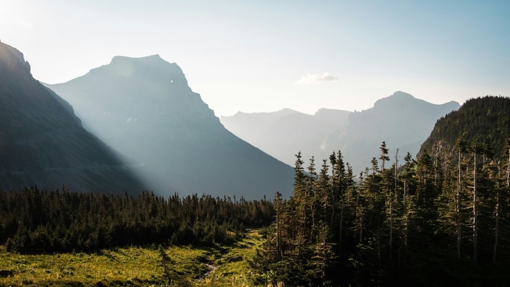 Η Ελληνική Εταιρεία Προστασίας της Φύσης για τα διακυβεύματα της COP30