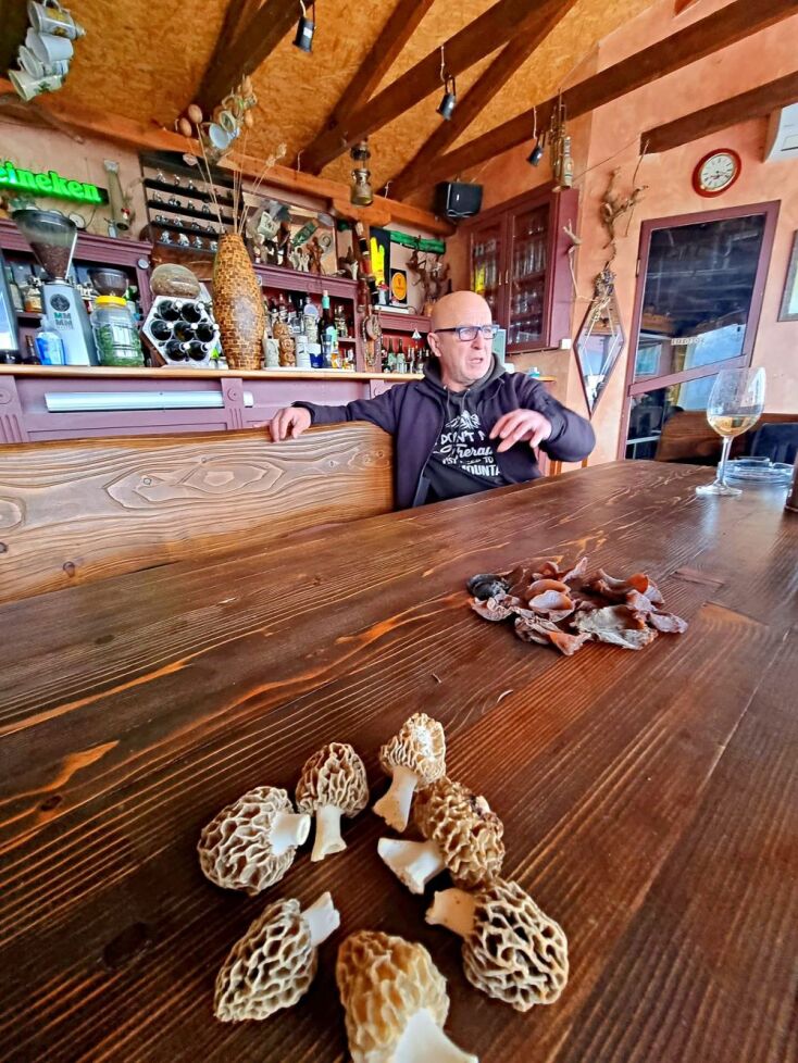 Λάλος: Ο άρχοντας των μανιταριών βρίσκεται στο ορεινό Σιδηρόνερο της Δράμας