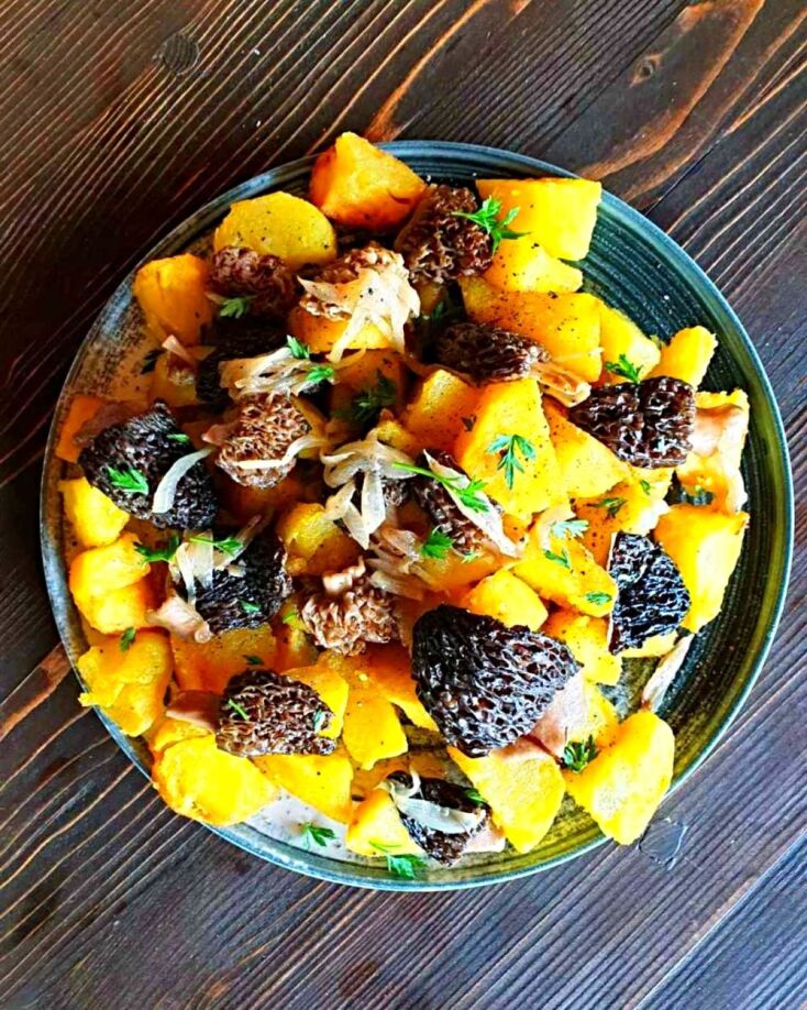 Λάλος: Ο άρχοντας των μανιταριών βρίσκεται στο ορεινό Σιδηρόνερο της Δράμας