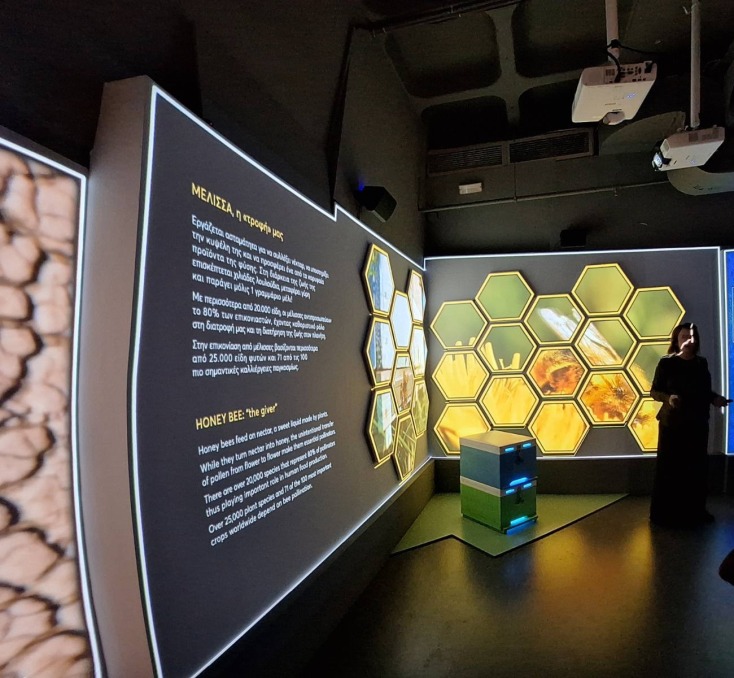 Η σημασία των μελισσών για το περιβάλλον και τον άνθρωπο