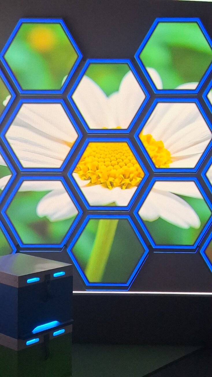 Οι μέλισσες είναι σημάδι πως ένα οικοσύστημα λειτουργεί καλά