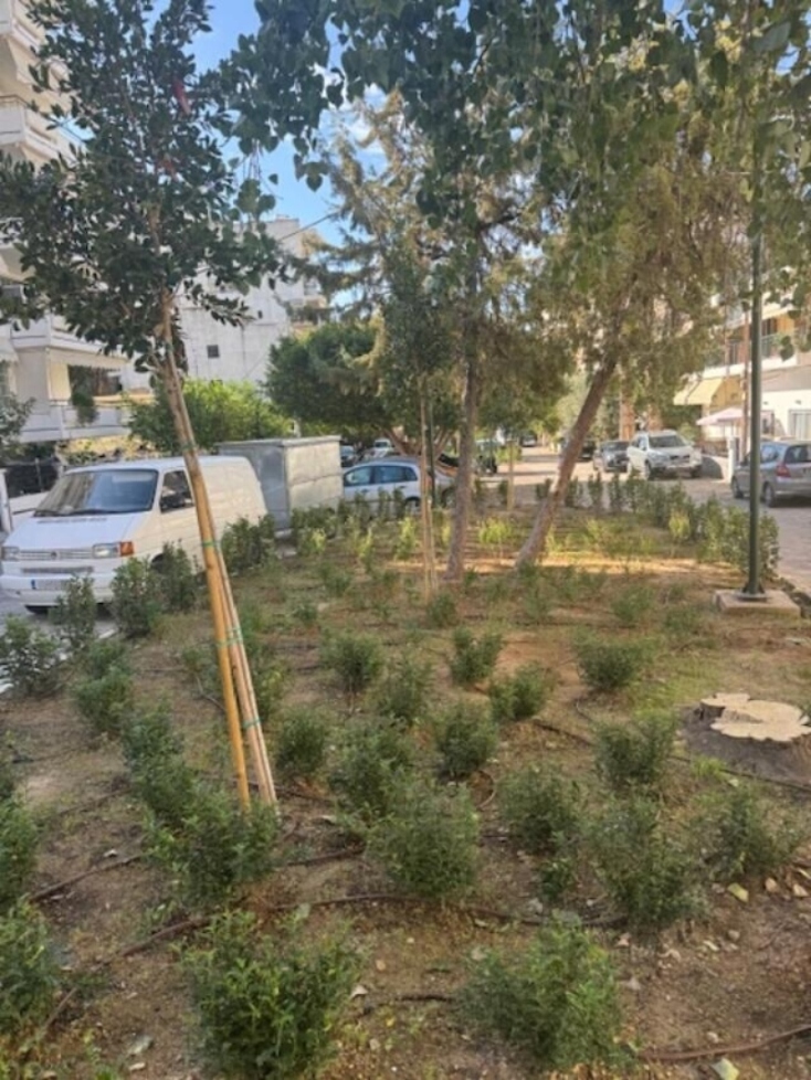 Ο Άλιμος πρασινίζει με 530 νέα φυτά στον πεζόδρομο Αγίου Δημητρίου