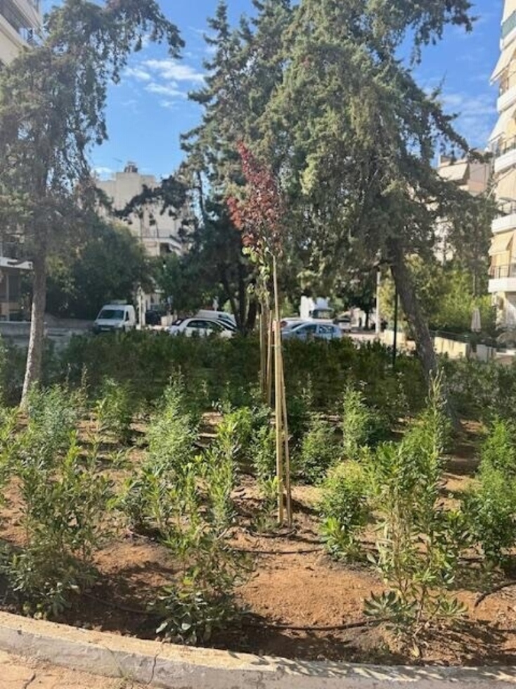 Ο Άλιμος πρασινίζει με 530 νέα φυτά στον πεζόδρομο Αγίου Δημητρίου