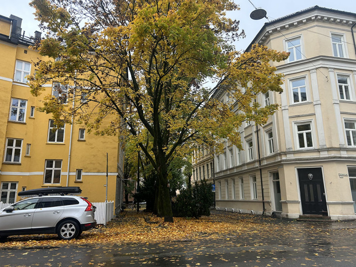 Όσλο: Εισαγωγή σ’ ένα love affair που κρατάει χρόνια