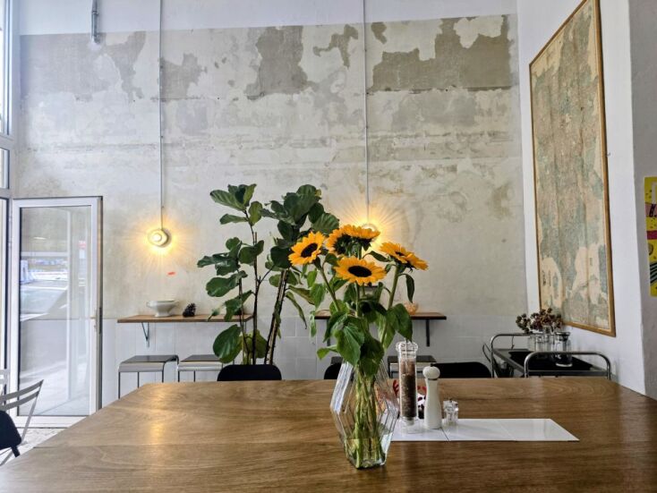 Goldie, Ιλίσια