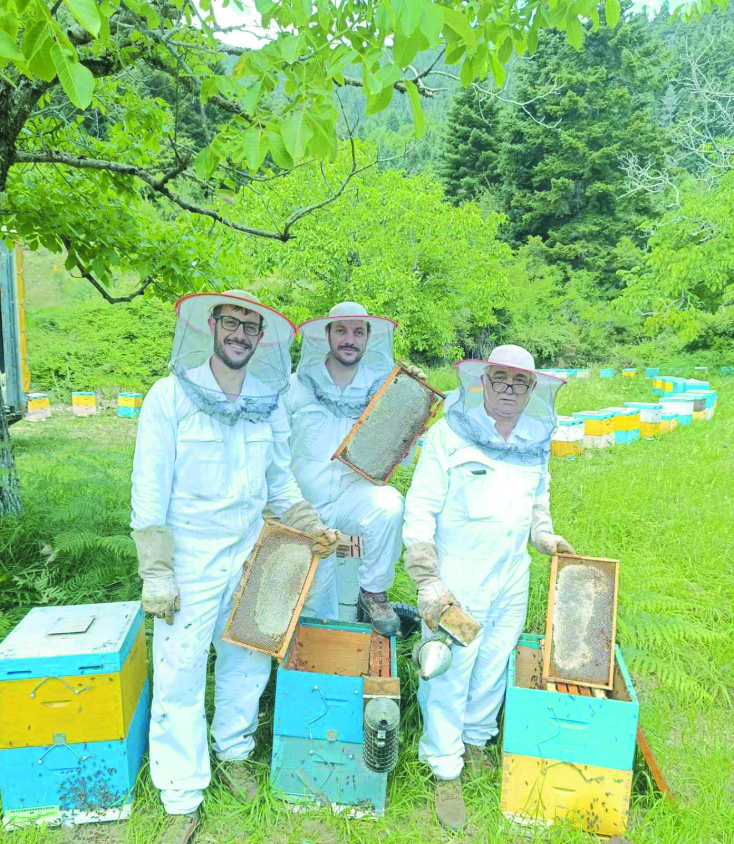 Άγρια Μέλισσα