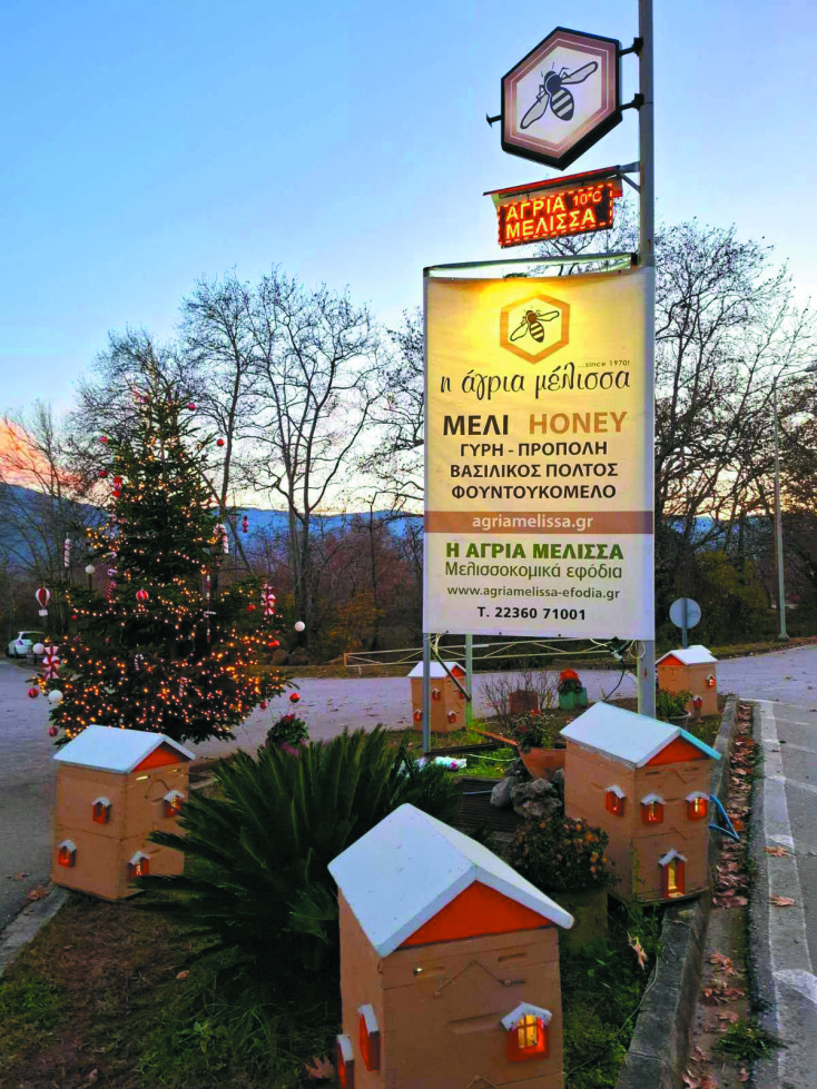 Άγρια Μέλισσα