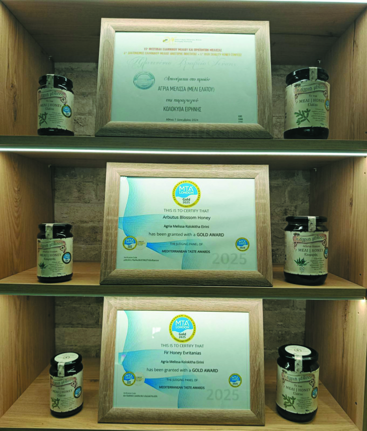 Άγρια Μέλισσα