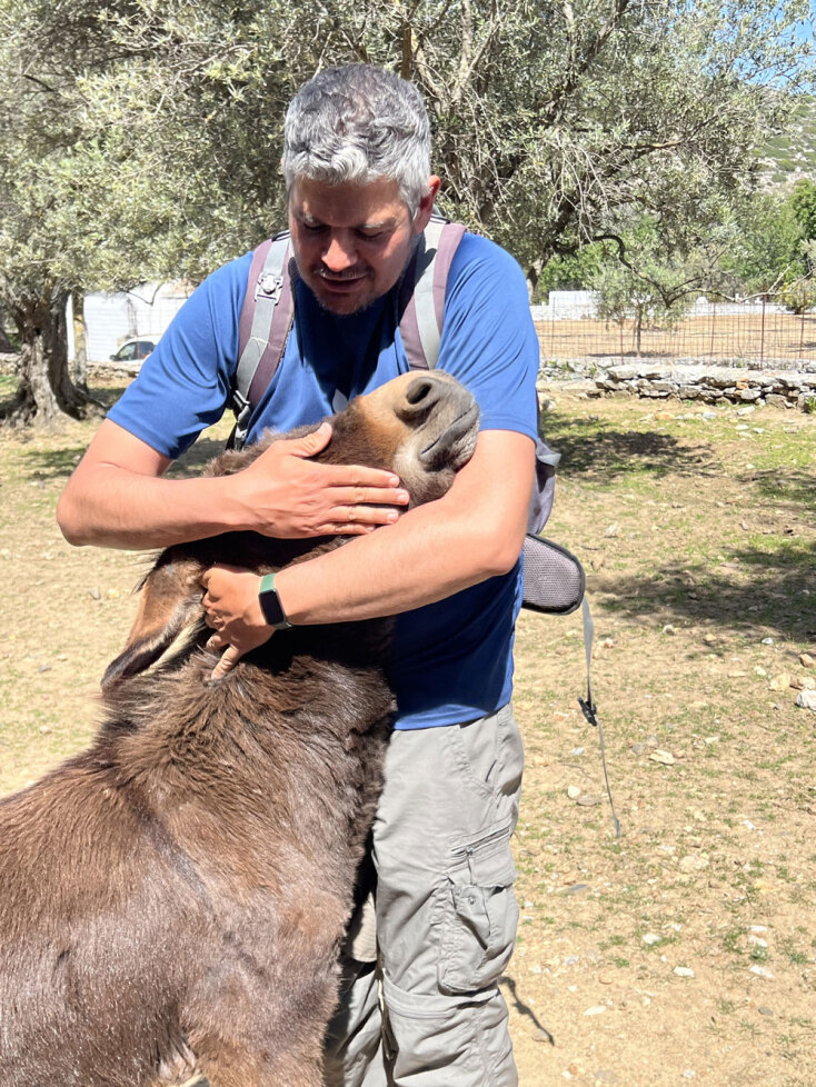 Ελληνικό Πανόραμα