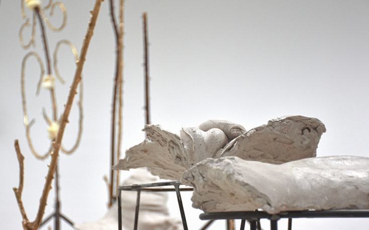 andreas_mallouris_an_evening_botanist_detail_4