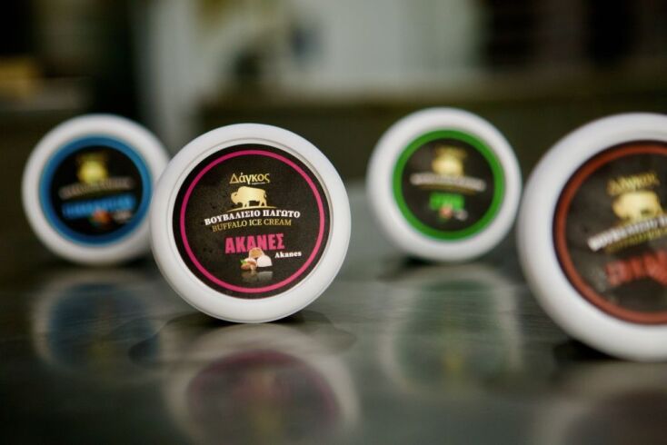 Στο ζαχαροπλαστείο Δάγκος στην Κερκίνη για το βουβαλίσιο παγωτό και τα φημισμένα του μελομακάρονα