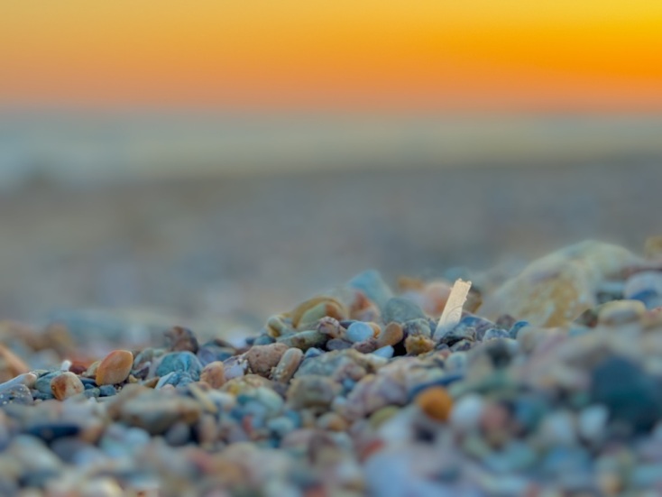 Ποια γενιά θα αλλάξει τον κόσμο; 16 φωτογραφικά καρέ που θα μας απασχολήσουν το 2026