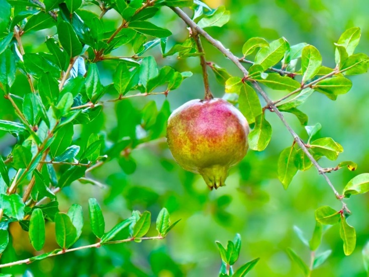 Ποια γενιά θα αλλάξει τον κόσμο; 16 φωτογραφικά καρέ που θα μας απασχολήσουν το 2026