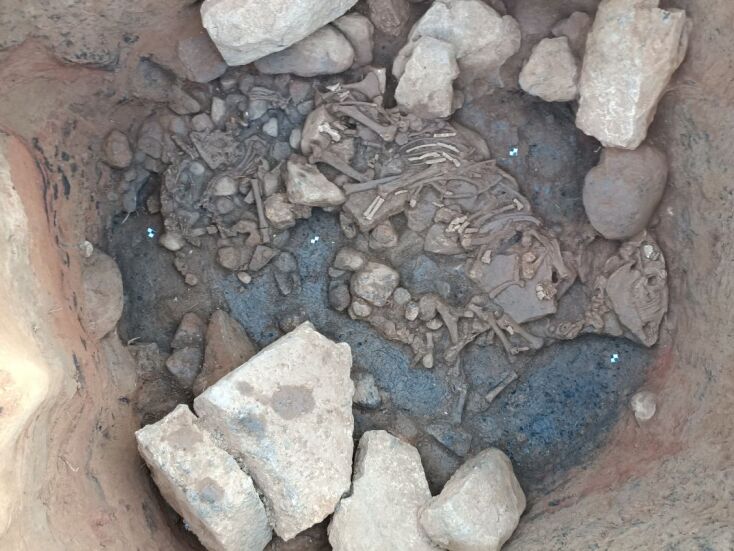 Σκελετός Ιπποειδούς στον πυθμένα του λάκκου