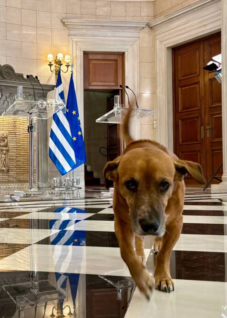 Τα κατοικίδια του Μεγάρου Μαξίμου 