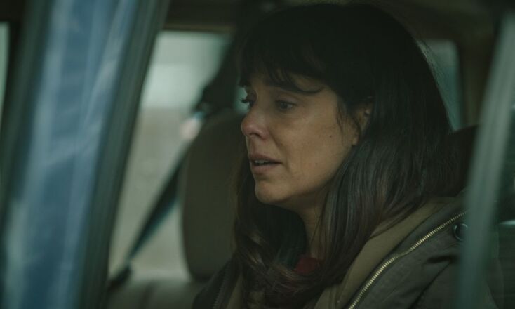 Αντιπυρική Ζώνη | Firebreak