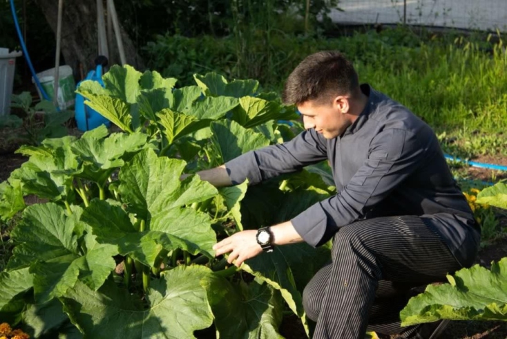 Ταβέρνα Βαφειός