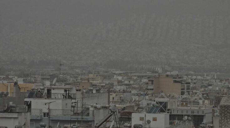 afrikaniki_skoni__1_