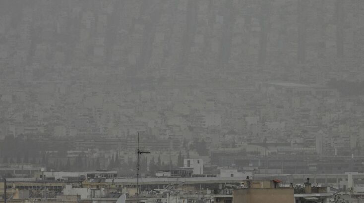 afrikaniki_skoni__6_