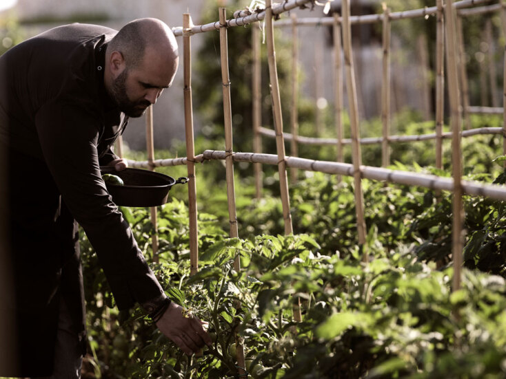 Striggla | Άγγελος Μπακόπουλος
