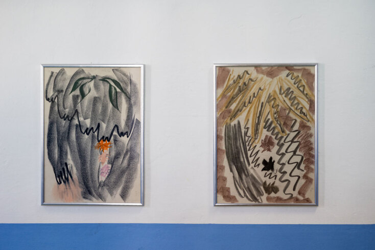 Ευγενία Βερελή - A Small Story from Small Collections from Short Walks, 2026 | 70x100 εκ. UV εκτύπωση σε χαρτί, λουλούδια -- Exercises in Balance I (At the Circus), 2026 | 27x40 εκ. σχέδιο σε κορνίζα, κάρβουνο, μολύβι, ξυλομπογιά σε χαρτί -- Exercises in Balance II (At the Circus), 2026 | 27x40 εκ. σχέδιο σε κορνίζα, κάρβουνο, μολύβι, ξυλομπογιά σε χαρτί