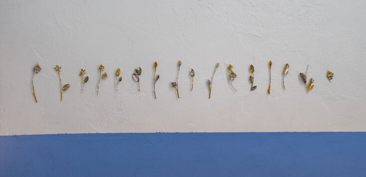 Χρυσάνθη Κουμιανάκη | I picked up a leaf it looked like a flower and I painted it, 2025-2026 | Διαστάσεις μεταβλητές, 16 καρφίτσες στον τοίχο, οξυδωμένο ασήμι 925