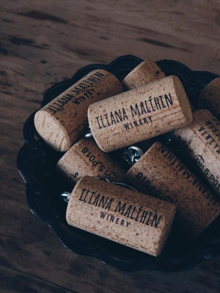 Ηλιάνα Μαλίχιν: Το Ρέθυμνο, τα αμπέλια και ένα όνειρο σπουδαίο