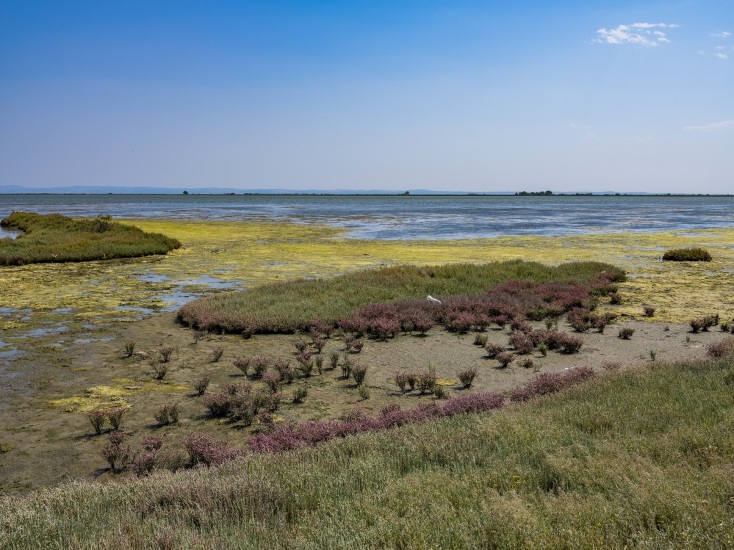 Θεσσαλονίκη: Από τη ΔΕΘ ως τη Λιμνοθάλασσα Καλοχωρίου, η Μπιενάλε ΡΝΣ9 σε επιμέλεια Νάντιας Αργυροπούλου ανοίγει τις πόρτες της στις 23 Μαΐου 2026