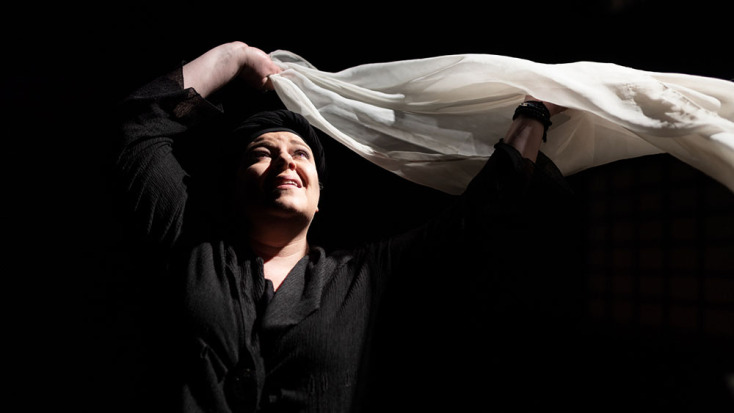 Θέατρο Φιλίπ, Η Κυρά της Ρω