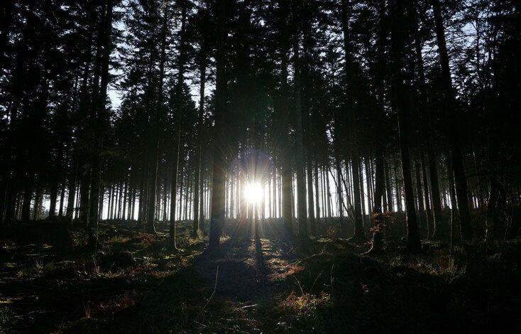 © Χρύσα Σουγιούλ