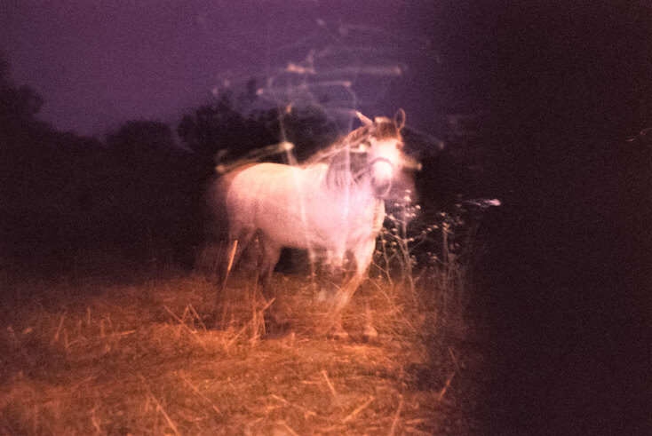 © Αρετή Αλεξανδράκη