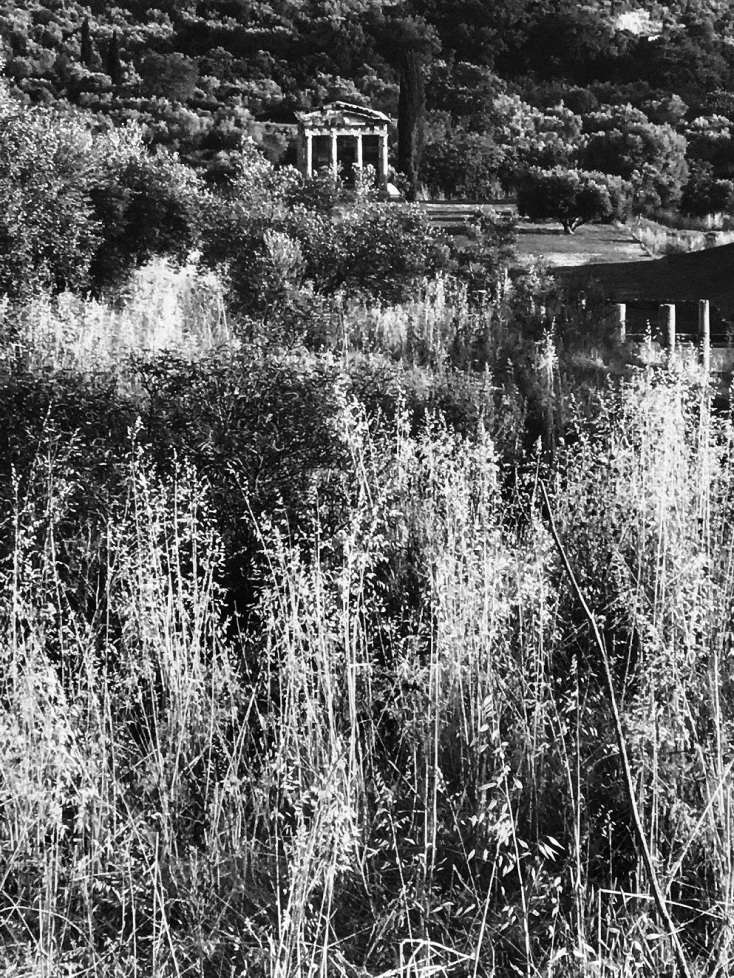 Οι φωτογραφίες της έκθεσης συνθέτουν ένα «ακίνητο ταξίδι» 2.300 ετών, από την ίδρυση της αρχαίας Μεσσήνης το 369 π.Χ. μέχρι σήμερα