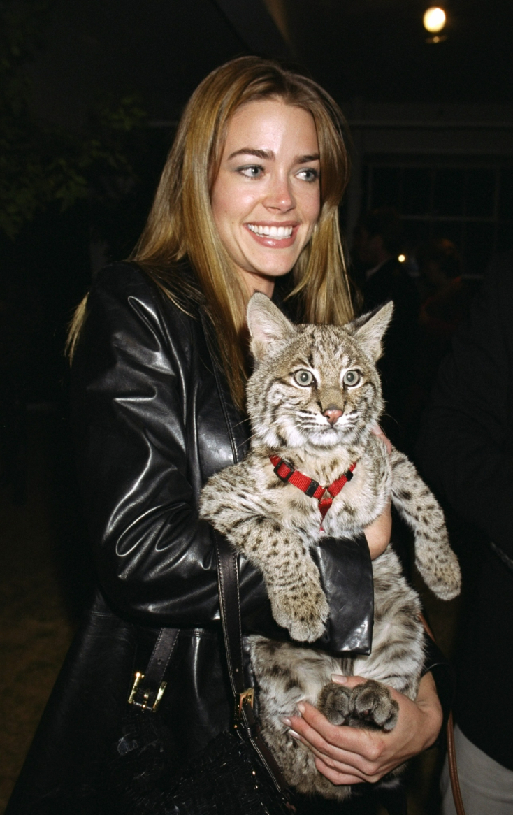 Η ηθοποιός Ντενίζ Ρίτσαρντς