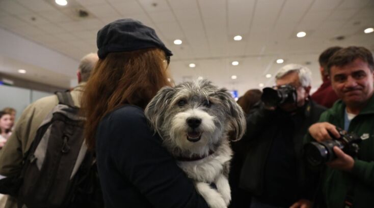 pthsh-katoikidia__4_