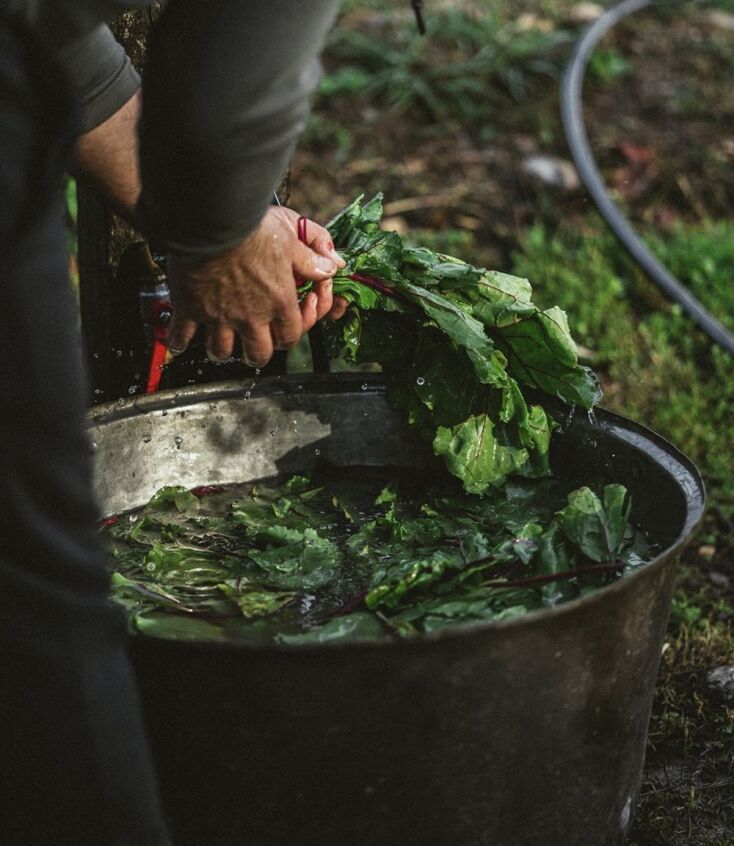 Οι Nomade et Sauvage μαγειρεύουν  στο Brera