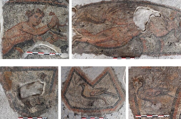 ΥΠΠΟ: Ξεκινά η αποκατάσταση της ρωμαϊκής έπαυλης στο Αμύνταιο Φλώρινας, με έργο 2,5 εκατ. ευρώ για ψηφιδωτά, τοιχογραφίες και ανάδειξη του αρχαιολογικού χώρου