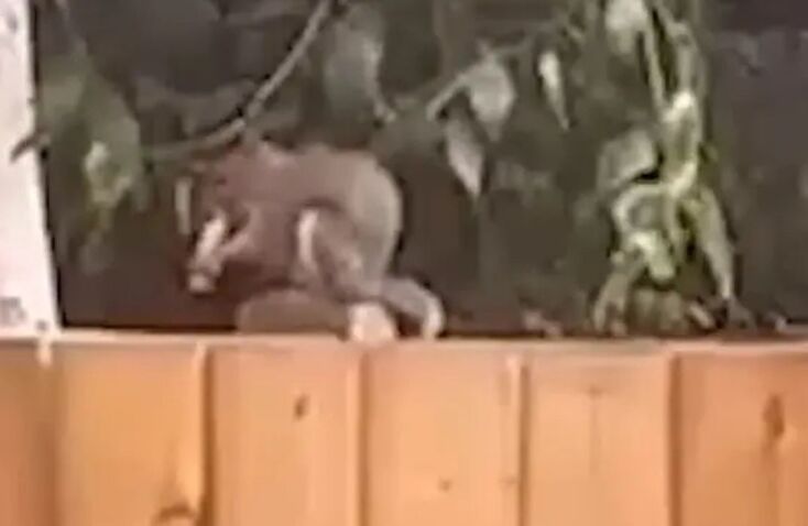 athensvoice_-_2026-03-24t173636_463